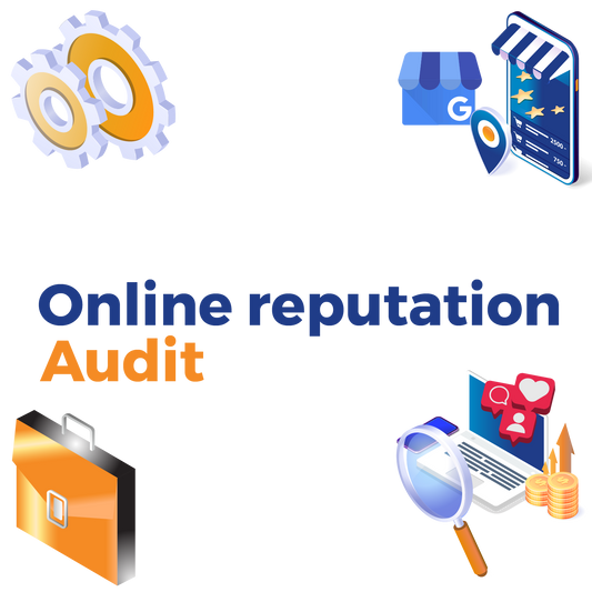 Reputation Audit