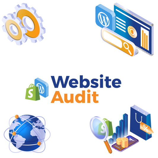 Website Audit